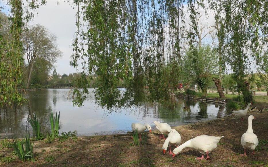 Le Clos Des Marais De Fontenay エクステリア 写真